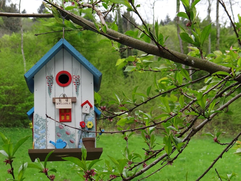 Treehouse Haven
